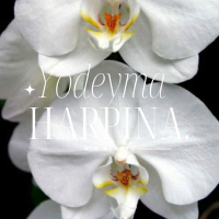 Harpina Damesparfum Yodeyma 50 Ml
